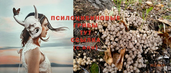 гашиш Сосновоборск