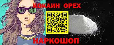 гидра Новозыбков