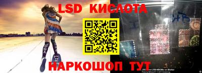 ешки Новодвинск