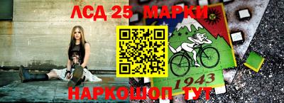 гидра Новозыбков