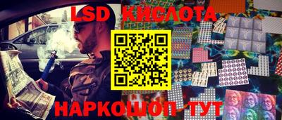 гидра Новозыбков