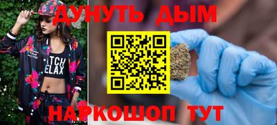 гидра Новозыбков