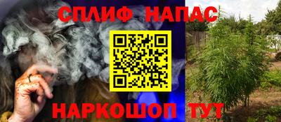гидра Новозыбков