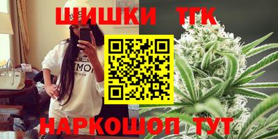 гидра Новозыбков