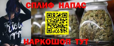 гидра Новозыбков