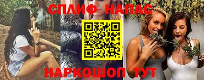 ешки Новодвинск