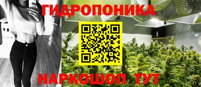 мяу мяу мука Новокубанск