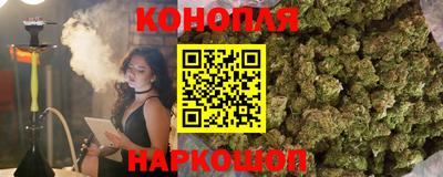 ешки Новодвинск