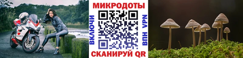 Псилоцибиновые грибы Magic Shrooms  Северобайкальск 