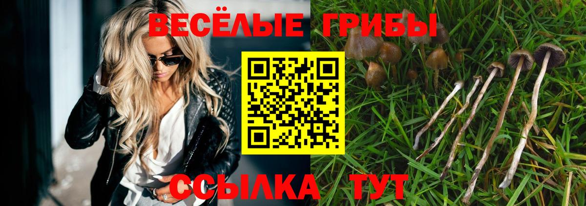 даркнет сайт  Вход с VPN  Северобайкальск  Галлюциногенные грибы Magic Shrooms 