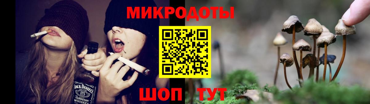 Галлюциногенные грибы ЛСД Северобайкальск